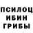 Псилоцибиновые грибы GOLDEN TEACHER Hiomi himi